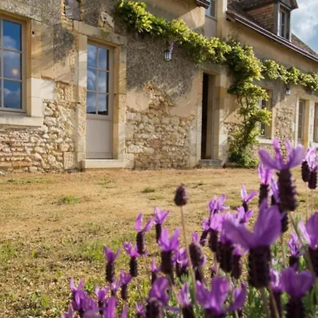 Tatil Evi Ferme Restauree Pres Zoo De La Fleche, 200m², 8 Pers, Terrasse, Nature Et Repos - Fr-1-410-230 *